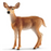 Schleich - White-tailed Doe