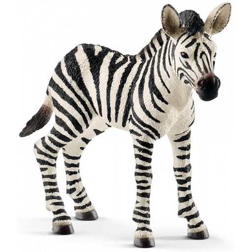 Schleich - Zebra Foal