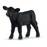 Schleich - Black Angus Calf