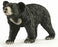Schleich - Sloth Bear